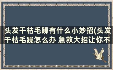 头发干枯毛躁有什么小妙招(头发干枯毛躁怎么办 急救大招让你不烦恼!)